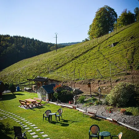 Logis Restaurant La Petite Alsace Hotel 3*