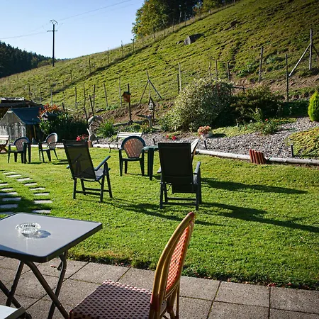 Logis Restaurant La Petite Alsace Le Hohwald