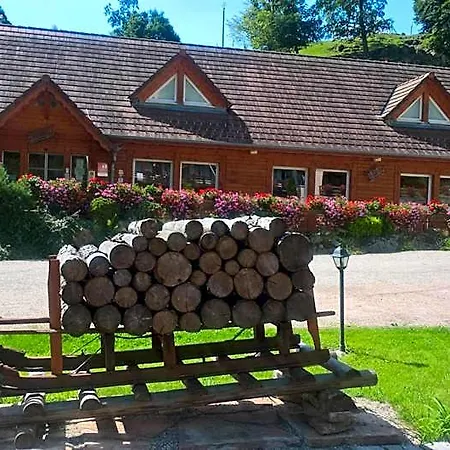 Hotel Logis Restaurant La Petite Alsace Le Hohwald
