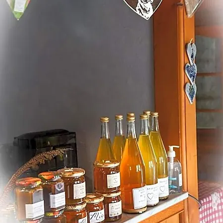 Hotel Logis Restaurant La Petite Alsace Le Hohwald