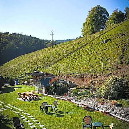Logis Restaurant La Petite Alsace 3*