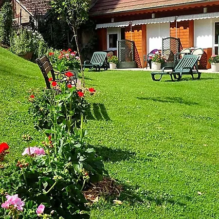Hotel Logis Restaurant La Petite Alsace 3*