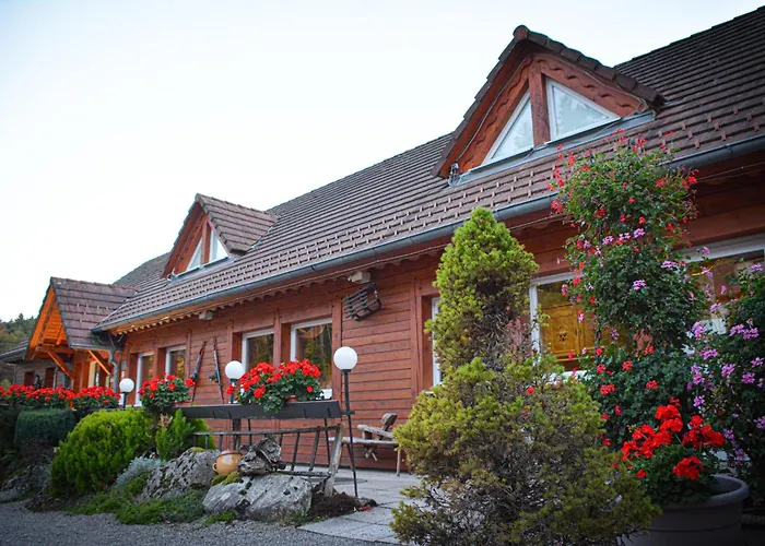 Logis Restaurant La Petite Alsace Hotel 3*