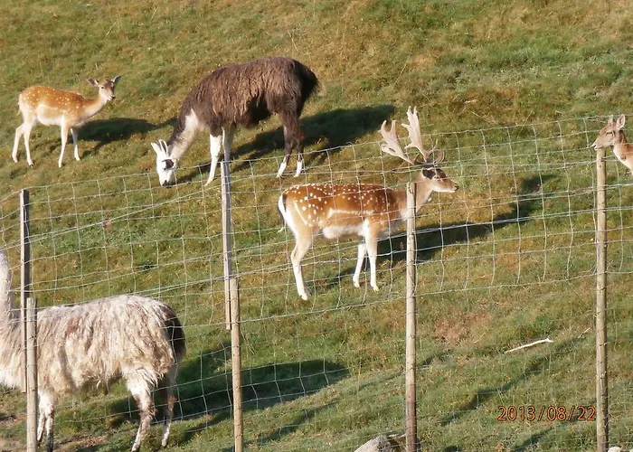 Logis Restaurant La Petite Alsace Hotel Le Hohwald
