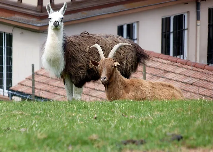 Logis Restaurant La Petite Alsace Hotel 3*